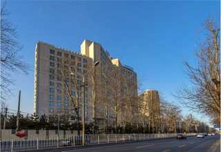 如皋买黄沙价格