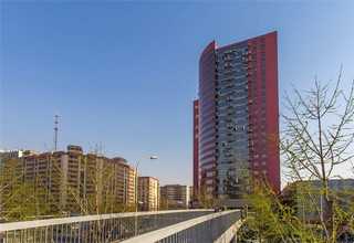 揭阳黑白森林牌生态板骏丰木链网